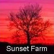 Sunset Farm Tree